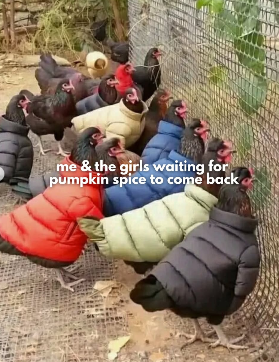 me & the girls waiting for pumpkin spice to come back