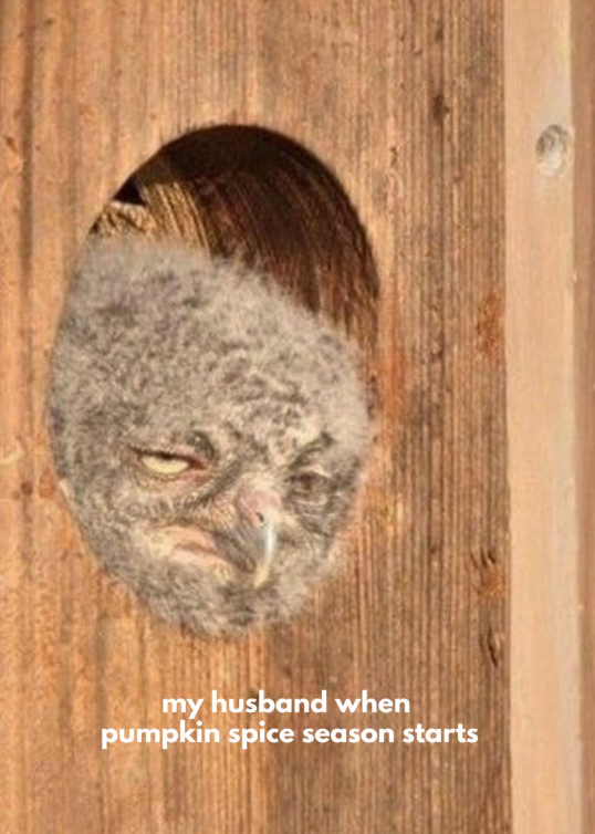 my husband when pumpkin spice season starts