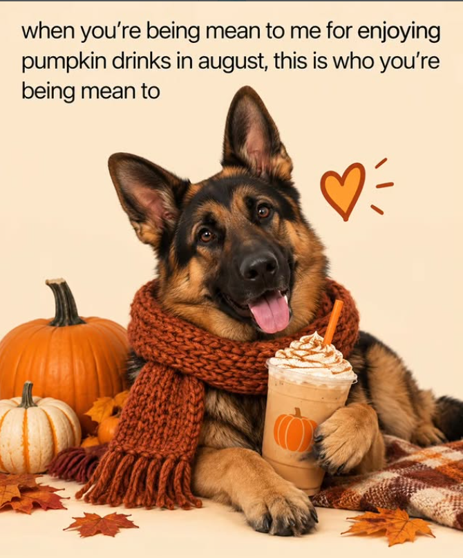 when you're being mean to me for enjoying pumpkin drinks in august, this is who you're being mean to ♡