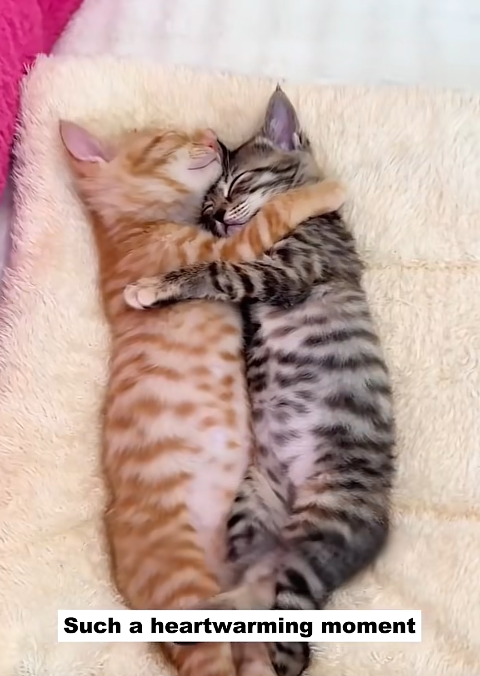 Such a heartwarming moment