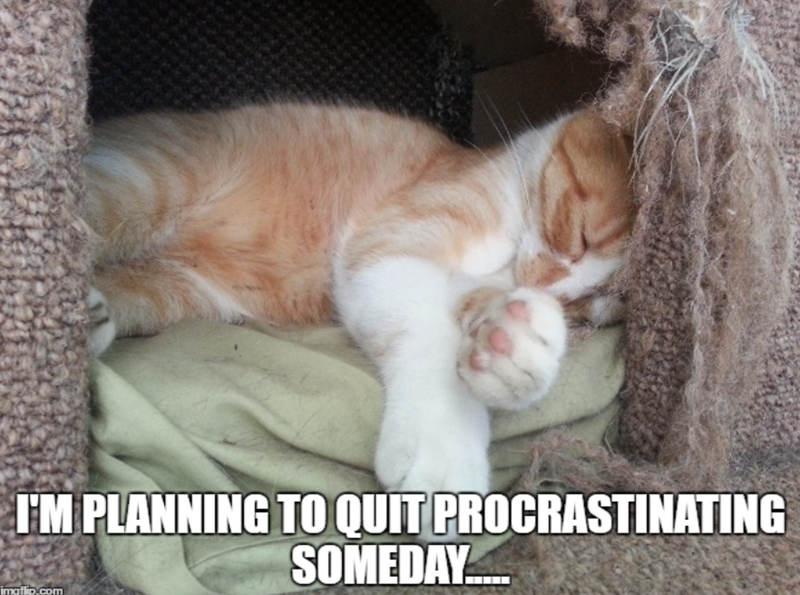 I'M PLANNING TO QUIT PROCRASTINATING imgflip.com SOMEDAY.....