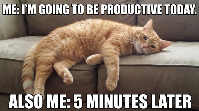 ME: I'M GOING TO BE PRODUCTIVE TODAY. ALSO ME: 5 MINUTES LATER