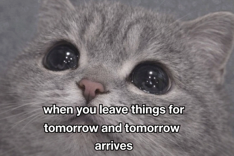 when you leave things for tomorrow and tomorrow arrives