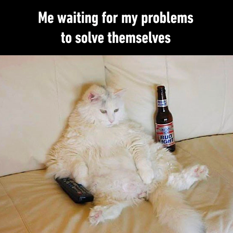 Me waiting for my problems to solve themselves BUD IGHT