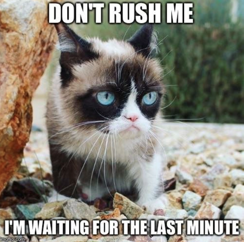 DON'T RUSH ME I'M WAITING FOR THE LAST MINUTE Imgflip.com