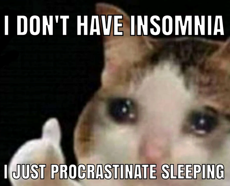 I DON'T HAVE INSOMNIA I JUST PROCRASTINATE SLEEPING