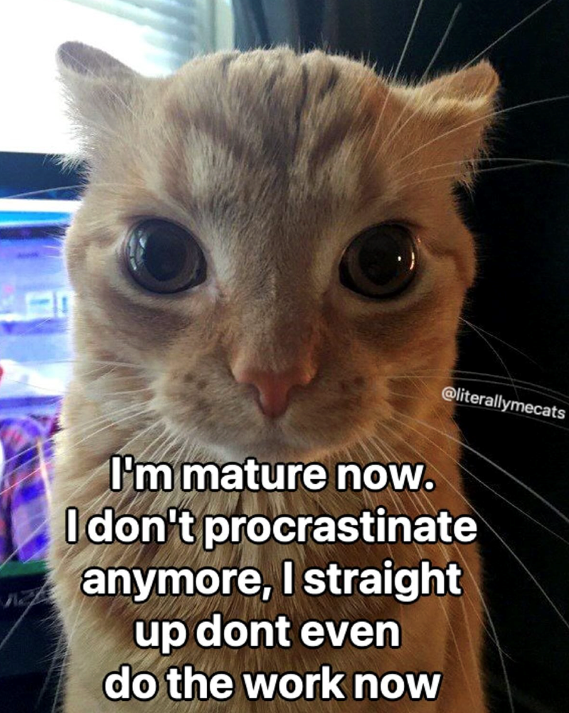 @literallymecats I'm mature now. I don't procrastinate anymore, I straight up dont even do the work now