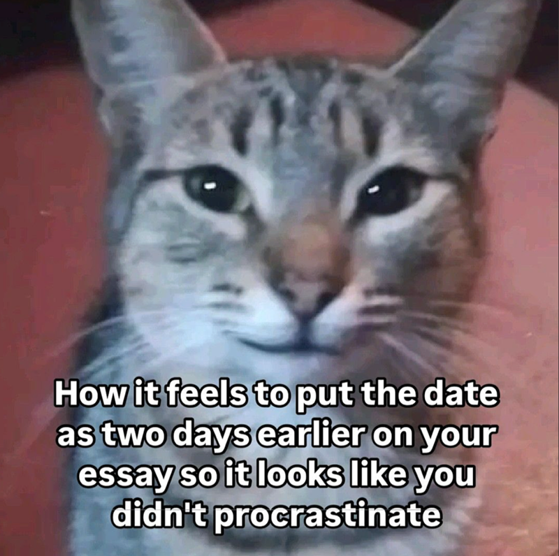How it feels to put the date as two days earlier on your essay so it looks like you didn't procrastinate