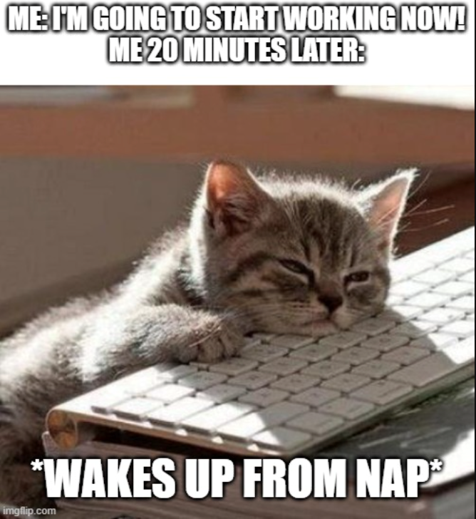 ME: I'M GOING TO START WORKING NOW! ME 20 MINUTES LATER: *WAKES UP FROM NAP* imgflip.com