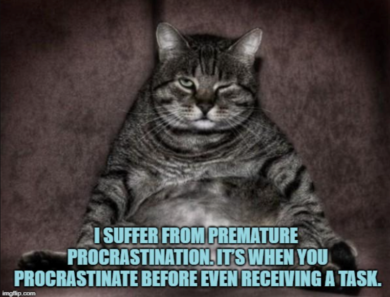 I SUFFER FROM PREMATURE PROCRASTINATION. IT'S WHEN YOU PROCRASTINATE BEFORE EVEN RECEIVING A TASK. imgflip.com