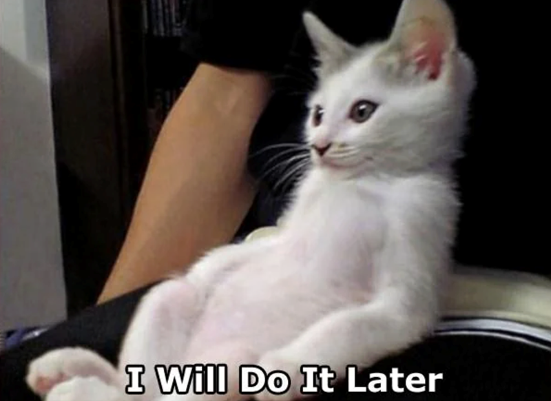 I Will Do It Later