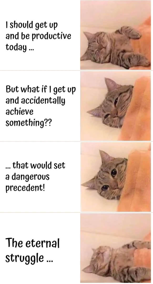 I should get up and be productive today... But what if I get up and accidentally achieve something?? *** that would set a dangerous precedent! The eternal struggle...