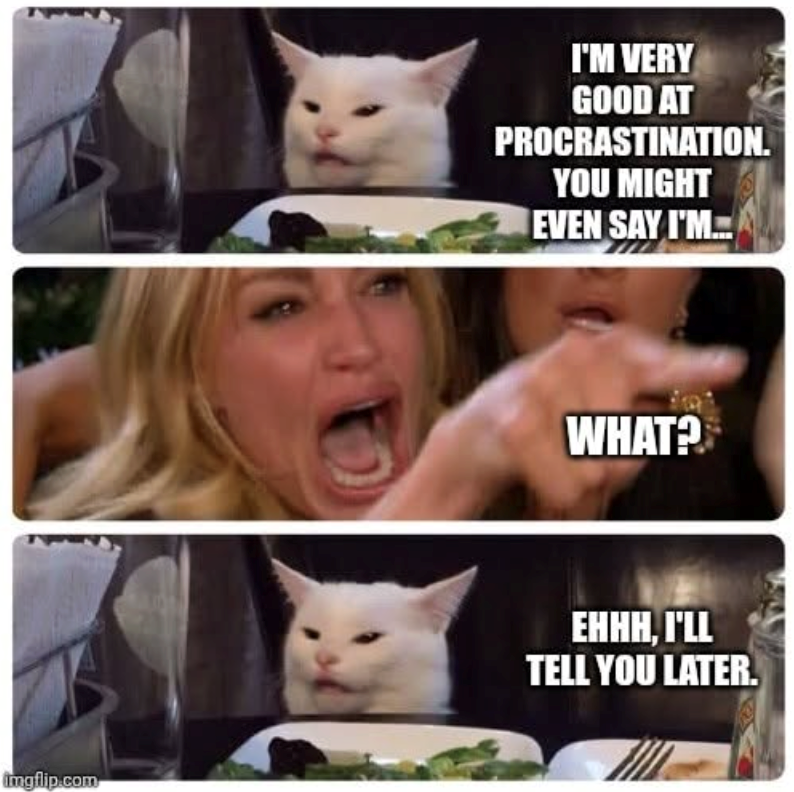 imgflip.com I'M VERY GOOD AT PROCRASTINATION. YOU MIGHT EVEN SAY I'M... WHAT? EHHH, I'LL TELL YOU LATER.