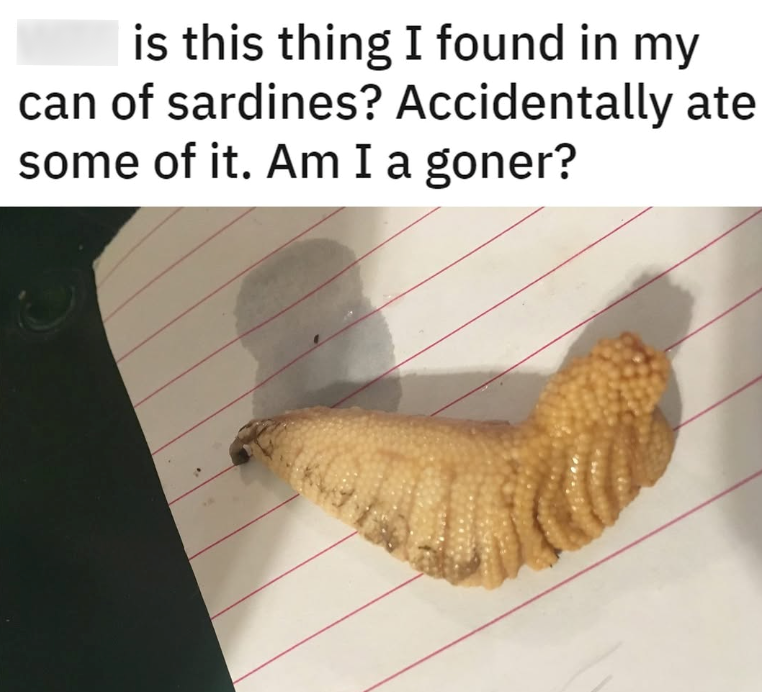 is this thing I found in my can of sardines? Accidentally ate some of it. Am I a goner?