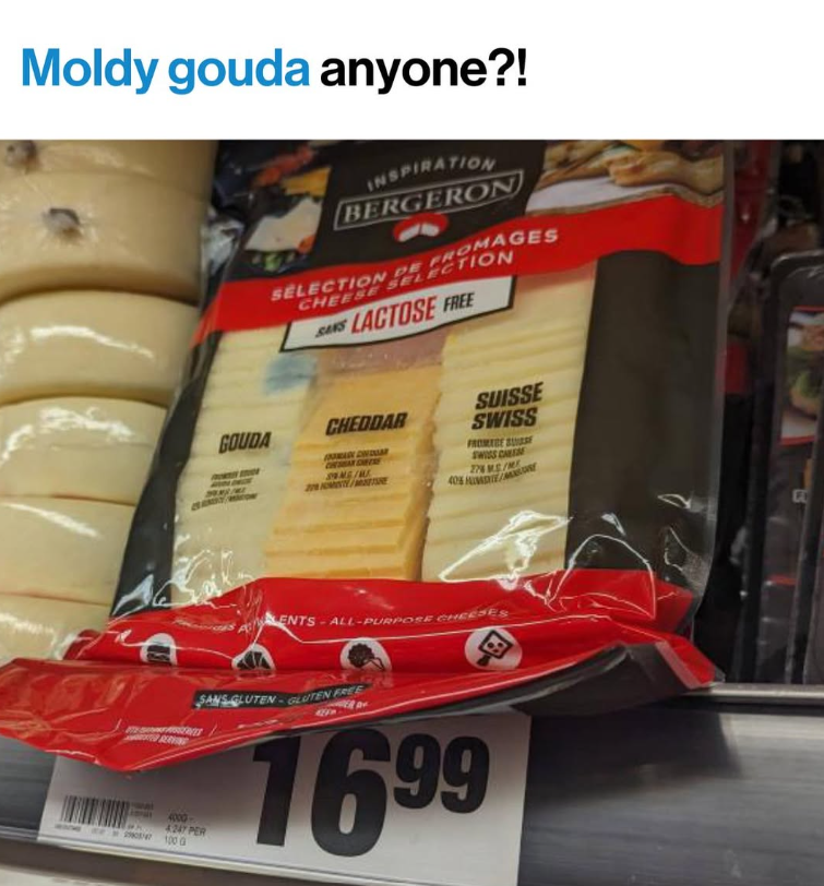 Moldy gouda anyone?! INSPIRATION BERGERON SELECTION DE FROMAGES CHEESE SELECTION SANS LACTOSE FREE 20 GOUDA CHEDDAR ADDINDA CHEMAR DRESS SOME/ SUISSE SWISS SWISS CAES 27 MS/M ENTS-ALL-PURPOSE CHEESES RENG SANS GLUTEN-GLUTEN FREE 4000- 4247 PER 100 G 1699 C