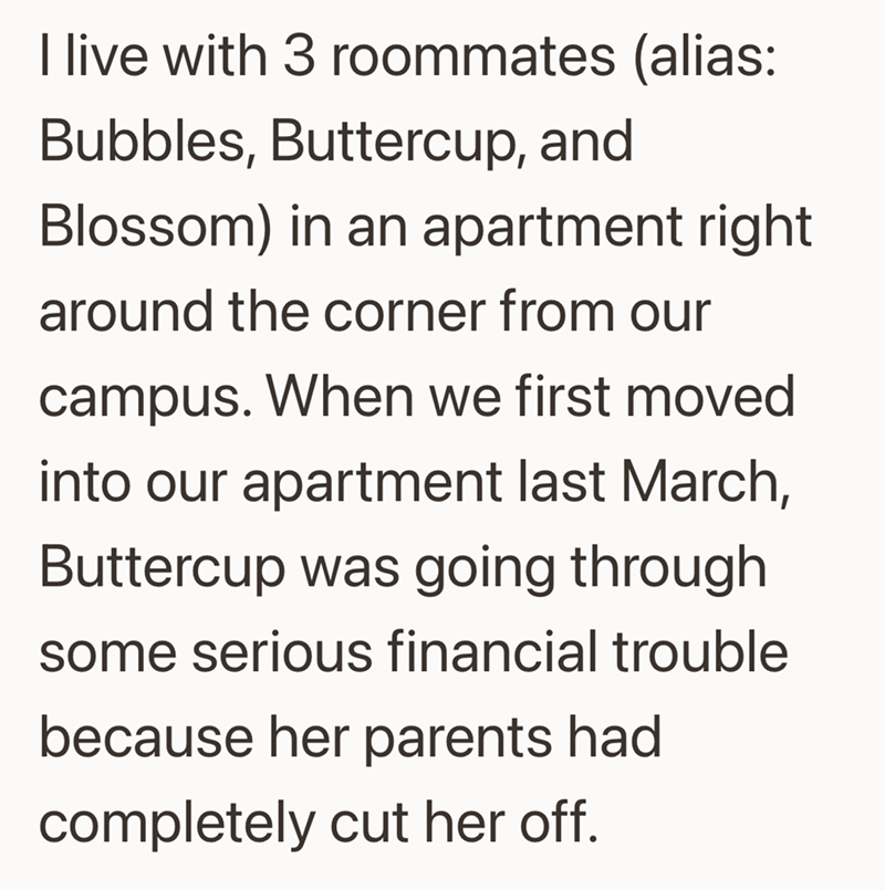 I live with 3 roommates (alias: Bubbles, Buttercup, and Blossom) in an apartment right around the corner from our campus. When we first moved into our apartment last March, Buttercup was going through some serious financial trouble because her parents had completely cut her off.