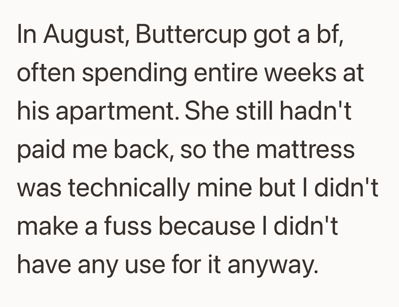 In August, Buttercup got a bf, often spending entire weeks at his apartment. She still hadn't paid me back, so the mattress was technically mine but I didn't make a fuss because I didn't have any use for it anyway.