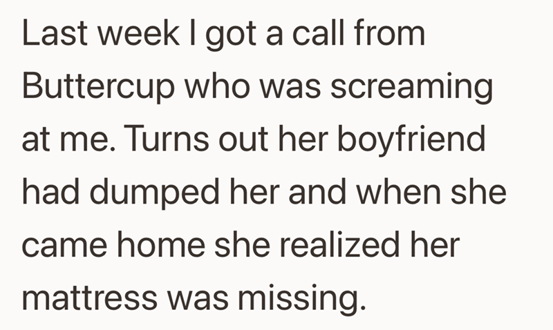 Last week I got a call from Buttercup who was screaming at me. Turns out her boyfriend had dumped her and when she came home she realized her mattress was missing.