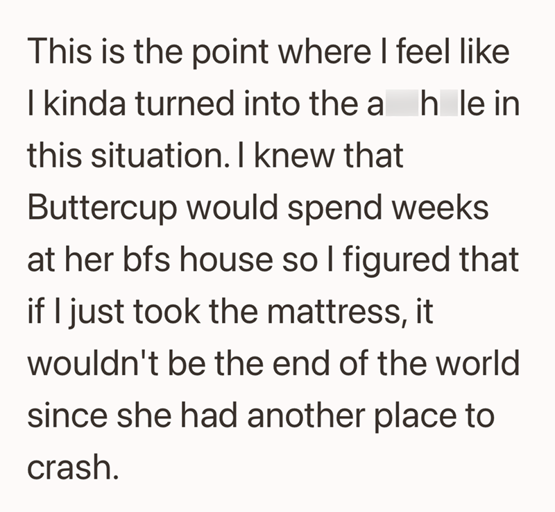 This is the point where I feel like I kinda turned into the ah le in this situation. I knew that Buttercup would spend weeks at her bfs house so I figured that if I just took the mattress, it wouldn't be the end of the world since she had another place to crash.