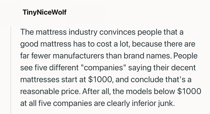 TinyNiceWolf The mattress industry convinces people that a good mattress has to cost a lot, because there are far fewer manufacturers than brand names. People see five different "companies" saying their decent mattresses start at $1000, and conclude that's a reasonable price. After all, the models below $1000 at all five companies are clearly inferior junk.