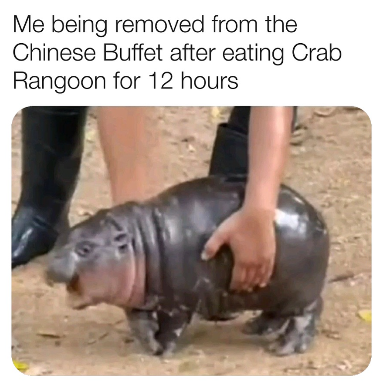 Me being removed from the Chinese Buffet after eating Crab Rangoon for 12 hours