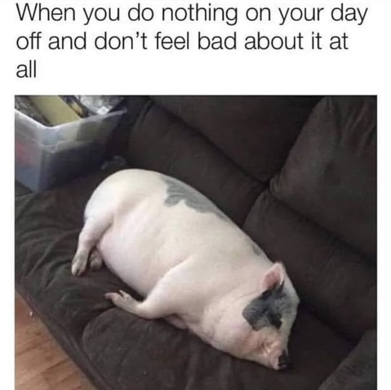 When you do nothing on your day off and don't feel bad about it at all