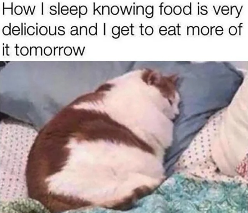 How I sleep knowing food is very delicious and I get to eat more of it tomorrow