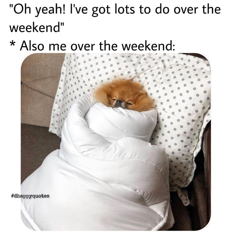 "Oh yeah! I've got lots to do over the weekend" * Also me over the weekend: #dhappyquotes