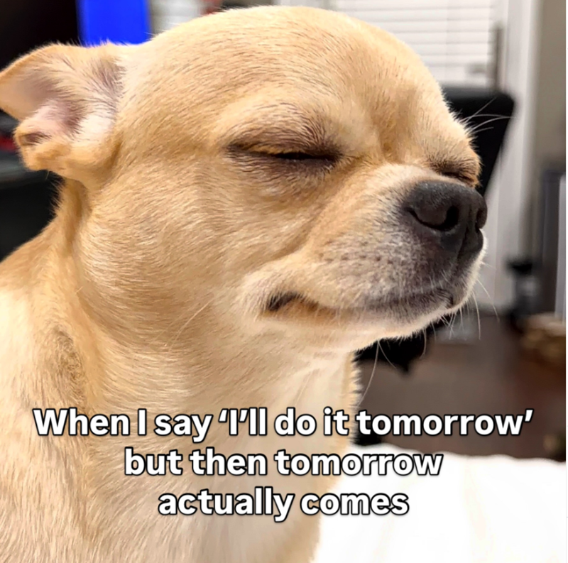 When I say 'I'll do it tomorrow' but then tomorrow actually comes