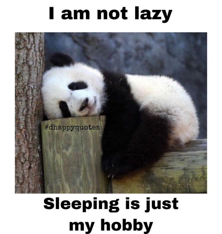 I am not lazy #dhappyquotes Sleeping is just my hobby