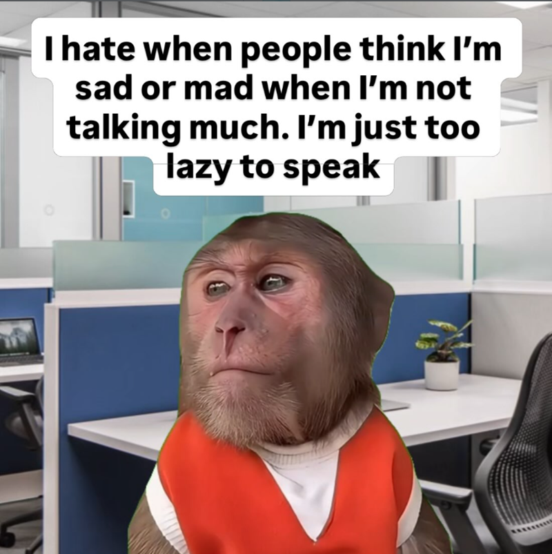 I hate when people think I'm sad or mad when I'm not talking much. I'm just too lazy to speak