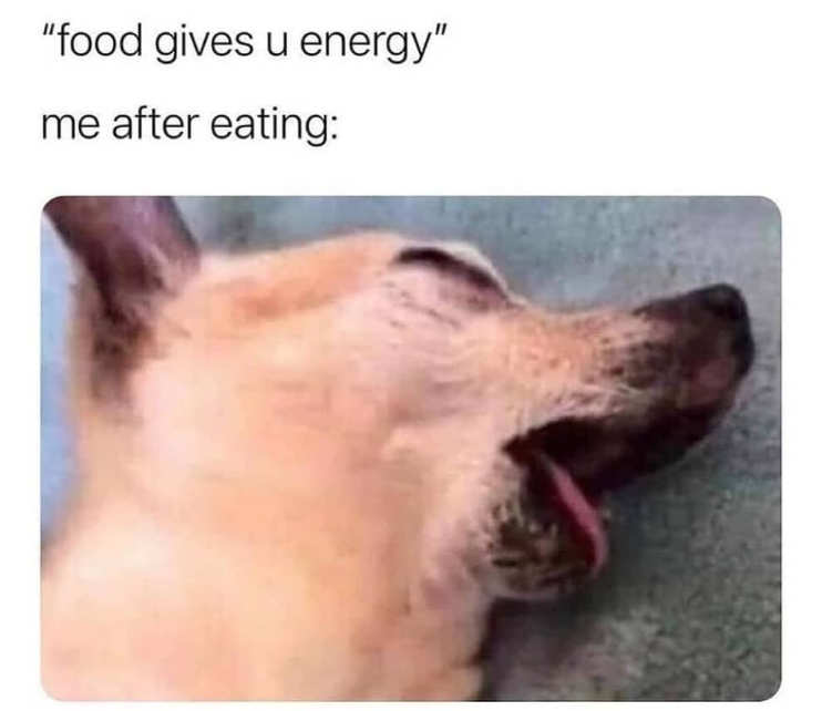 "food gives u energy" me after eating: