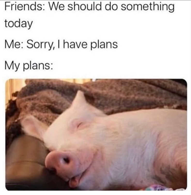 Friends: We should do something today Me: Sorry, I have plans My plans: