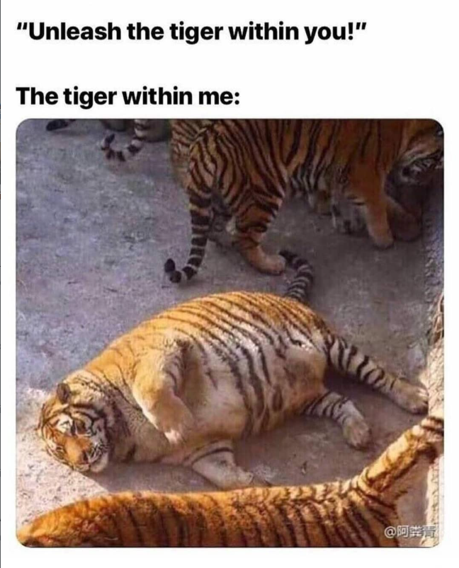 "Unleash the tiger within you!" The tiger within me: @阿福
