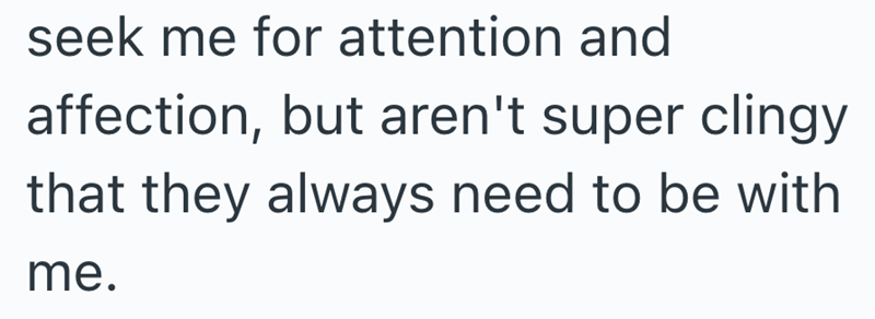 seek me for attention and affection, but aren't super clingy that they always need to be with me.