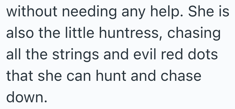 without needing any help. She is also the little huntress, chasing all the strings and evil red dots that she can hunt and chase down.