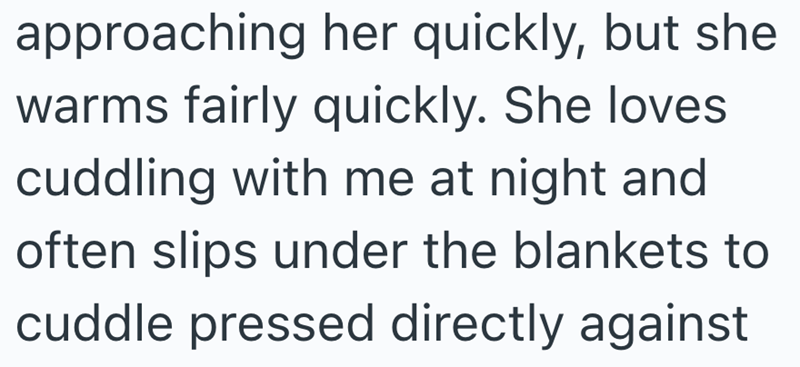 approaching her quickly, but she warms fairly quickly. She loves cuddling with me at night and often slips under the blankets to cuddle pressed directly against