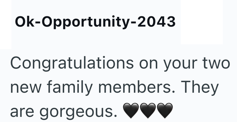 Ok-Opportunity-2043 Congratulations on your two new family members. They are gorgeous.