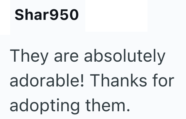 Shar950 They are absolutely adorable! Thanks for adopting them.