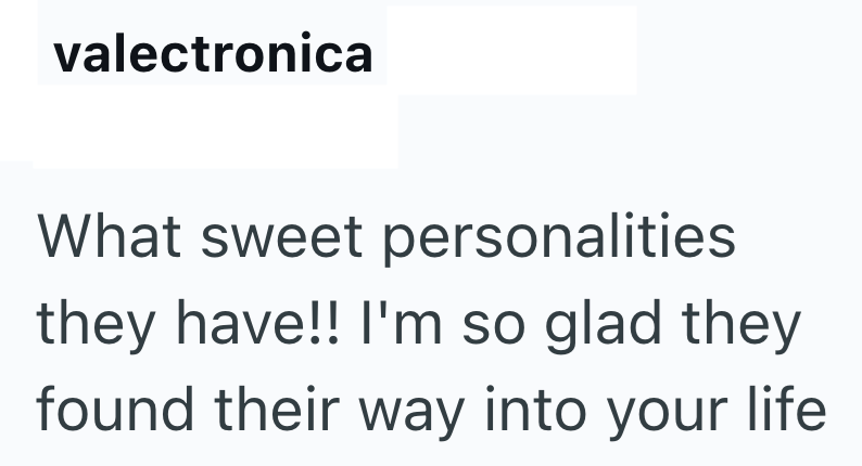 valectronica What sweet personalities they have!! I'm so glad they found their way into your life
