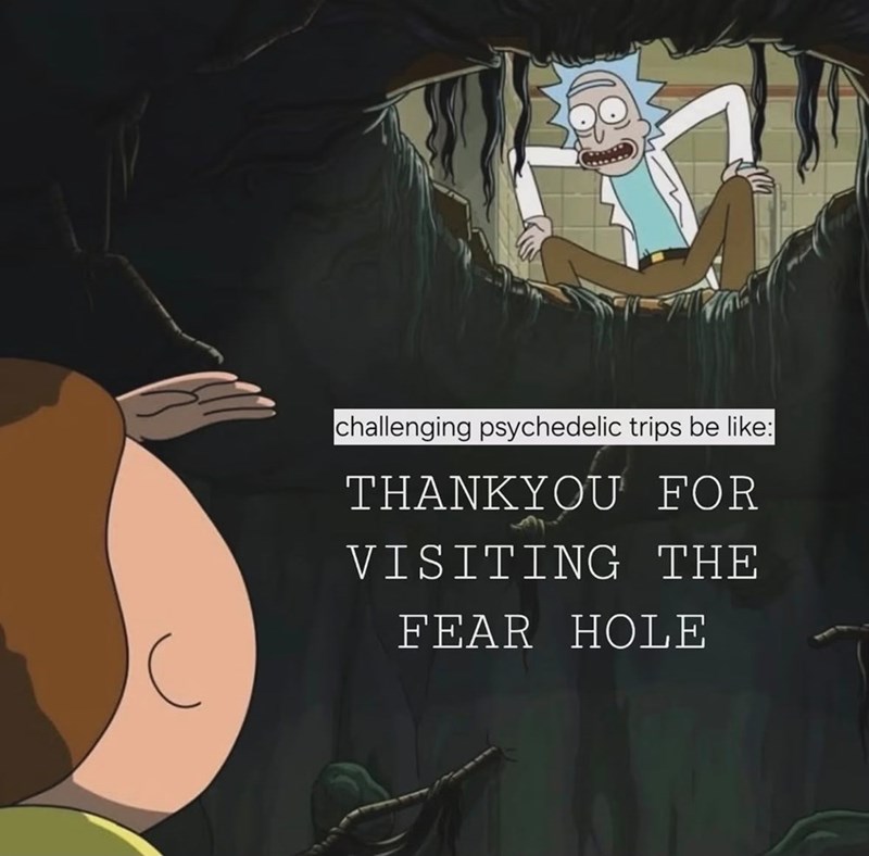 challenging psychedelic trips be like: THANKYOU FOR VISITING THE FEAR HOLE
