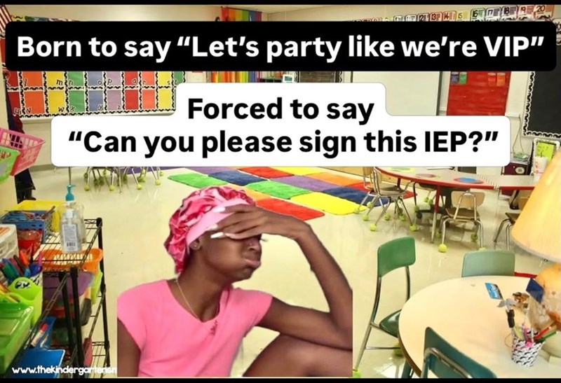 P 12 13 14 15 16 17 Born to say "Let's party like we're VIP" Forced to say "Can you please sign this IEP?" www.thekindergartensn