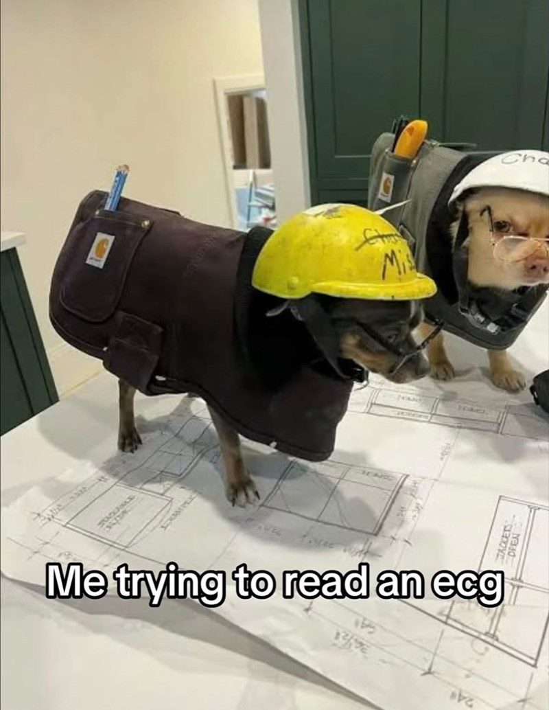 KLE DONG Me trying to read an ecg RETS Cha