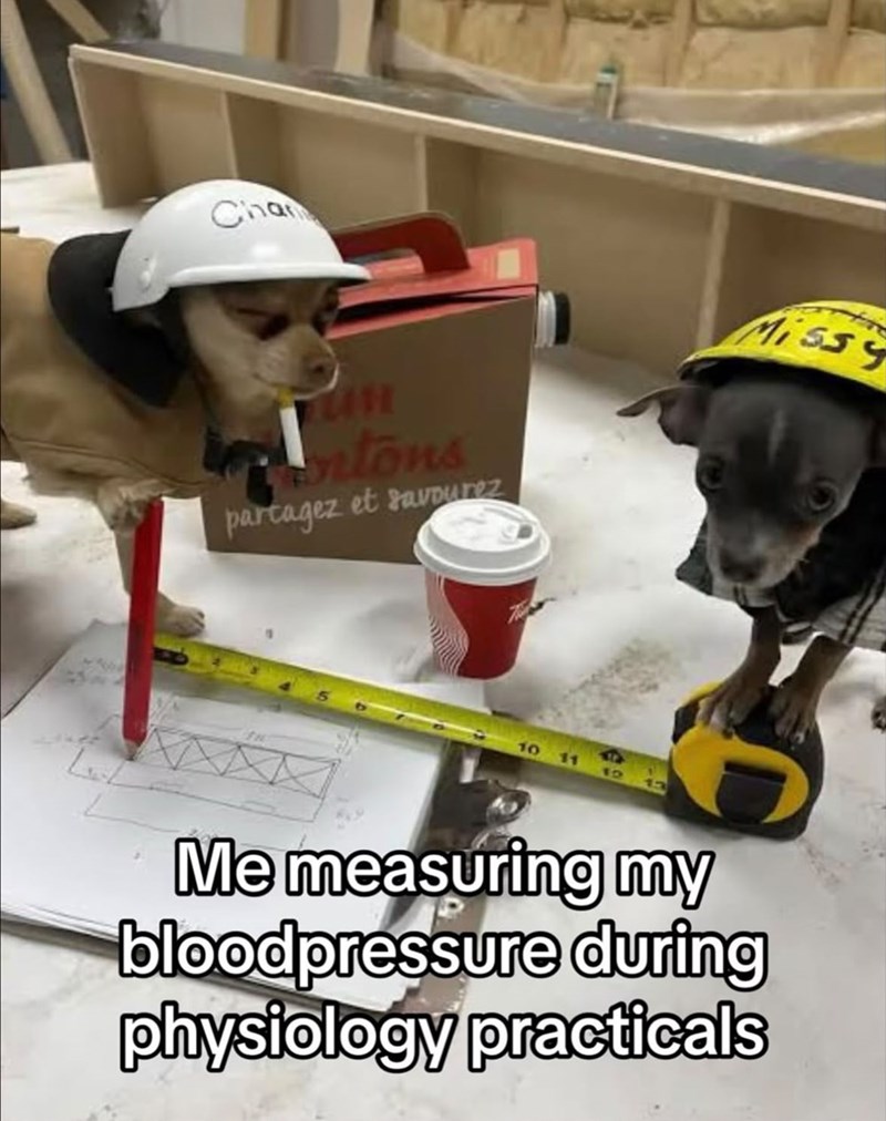Chan Cartons partagez et savourez 10 11 Missy Me measuring my bloodpressure during physiology practicals