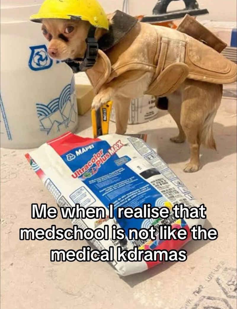 E 96 MAPEI Ultracolor Plus MAX Me when I realise that medschool is not like the medical kdramas The LUTTRY