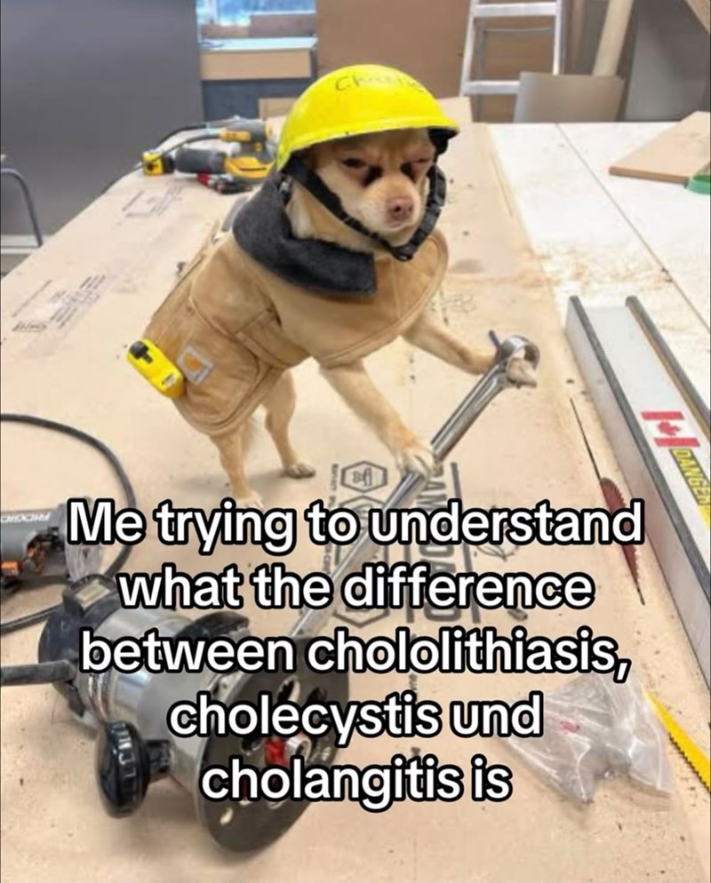 DANGE Me trying to understand what the difference between chololithiasis, cholecystis und cholangitis is