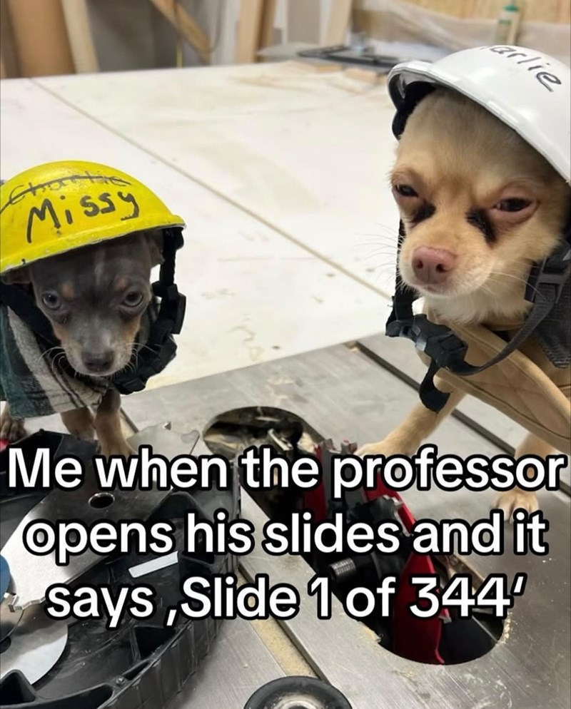 Missy arlie Me when the professor opens his slides and it says, Slide 1 of 344
