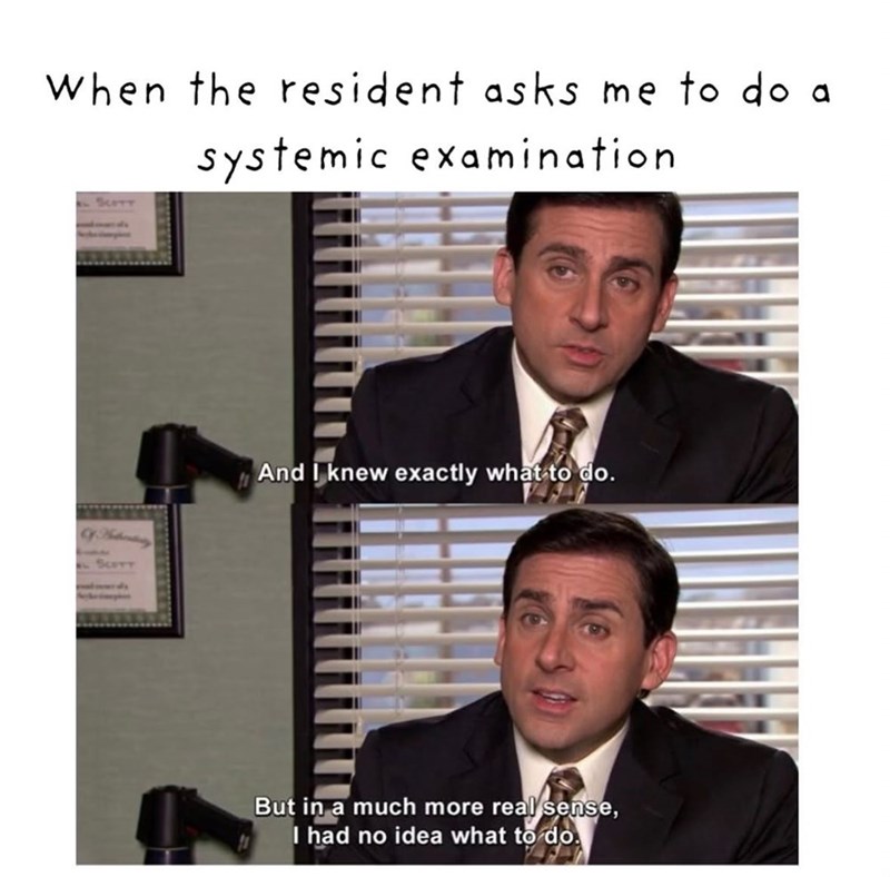 When the resident asks me to do a systemic examination SCOTT And I knew exactly what to do. But in a much more real sense, I had no idea what to do.
