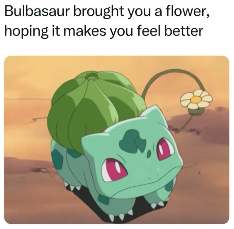 Bulbasaur brought you a flower, hoping it makes you feel better