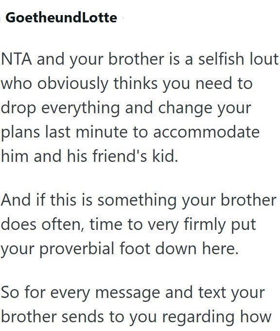 GoetheundLotte NTA and your brother is a selfish lout who obviously thinks you need to drop everything and change your plans last minute to accommodate him and his friend's kid. And if this is something your brother does often, time to very firmly put your proverbial foot down here. So for every message and text your brother sends to you regarding how